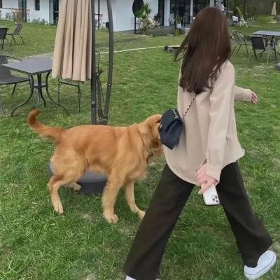 两个人的房间